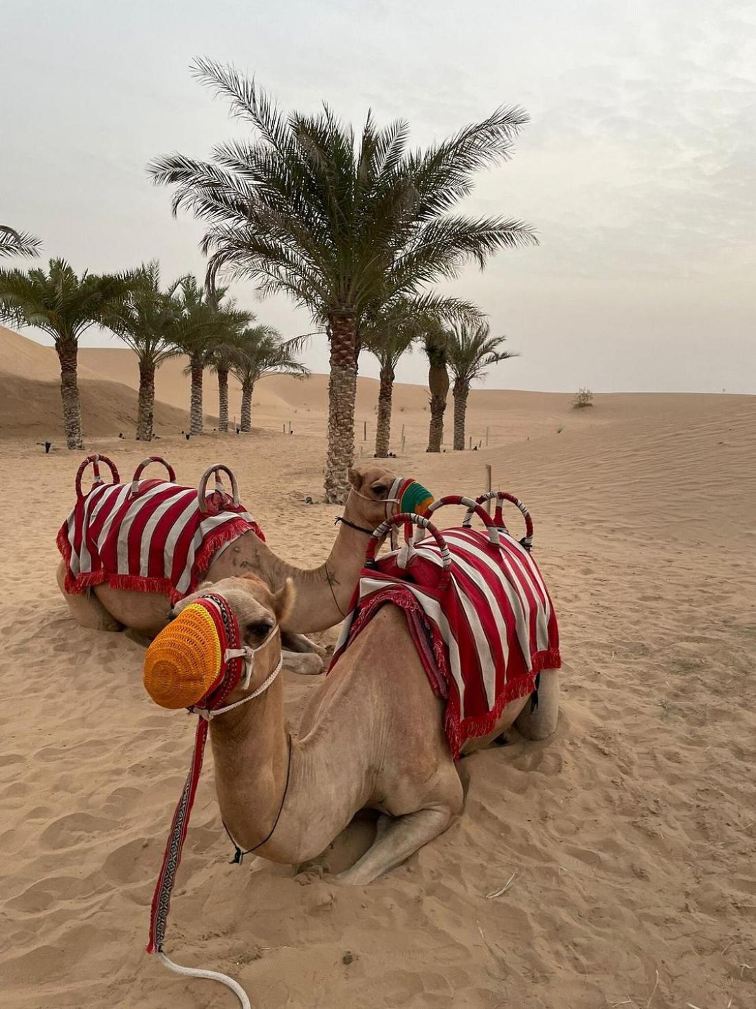 Hunaywah Al Khayma Camp "Elite Glamping & Dining In Experience"酒店 外观 照片